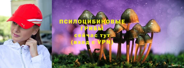 скорость Вязьма