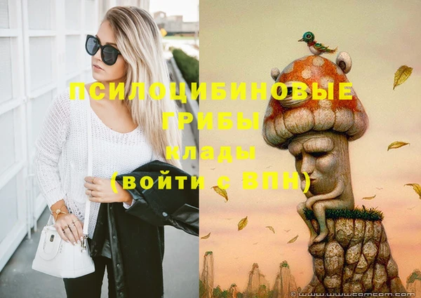эйфоретик Вяземский