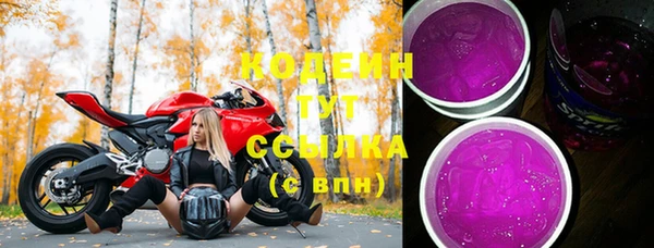 эйфоретик Вяземский