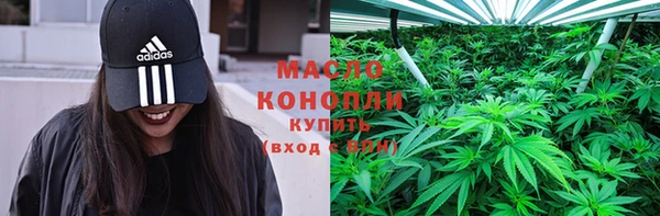 эйфоретик Вяземский