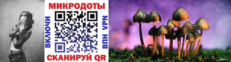 что такое наркотик KRAKEN ссылка Псилоцибиновые грибы мухоморы Красноярск